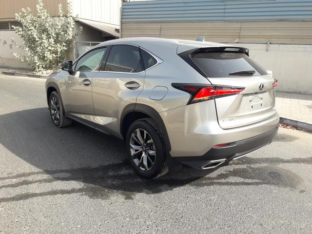 2019 Lexus NX