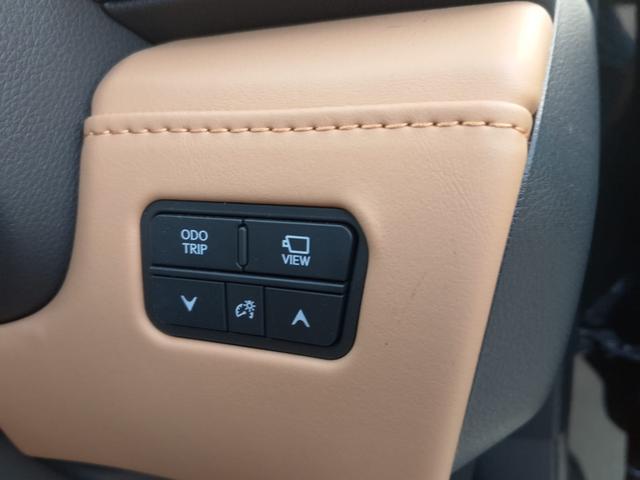 2024 Lexus LX