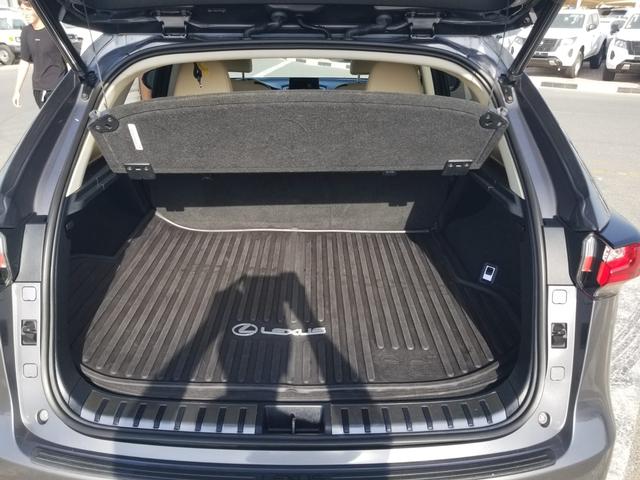 2017 Lexus NX 200t