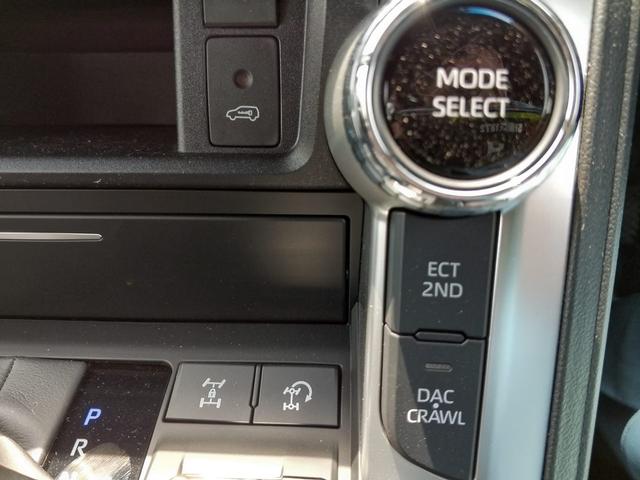 2025 Toyota LAND CRUISER 300 SERIES