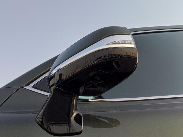 2025 Lexus LX500d
